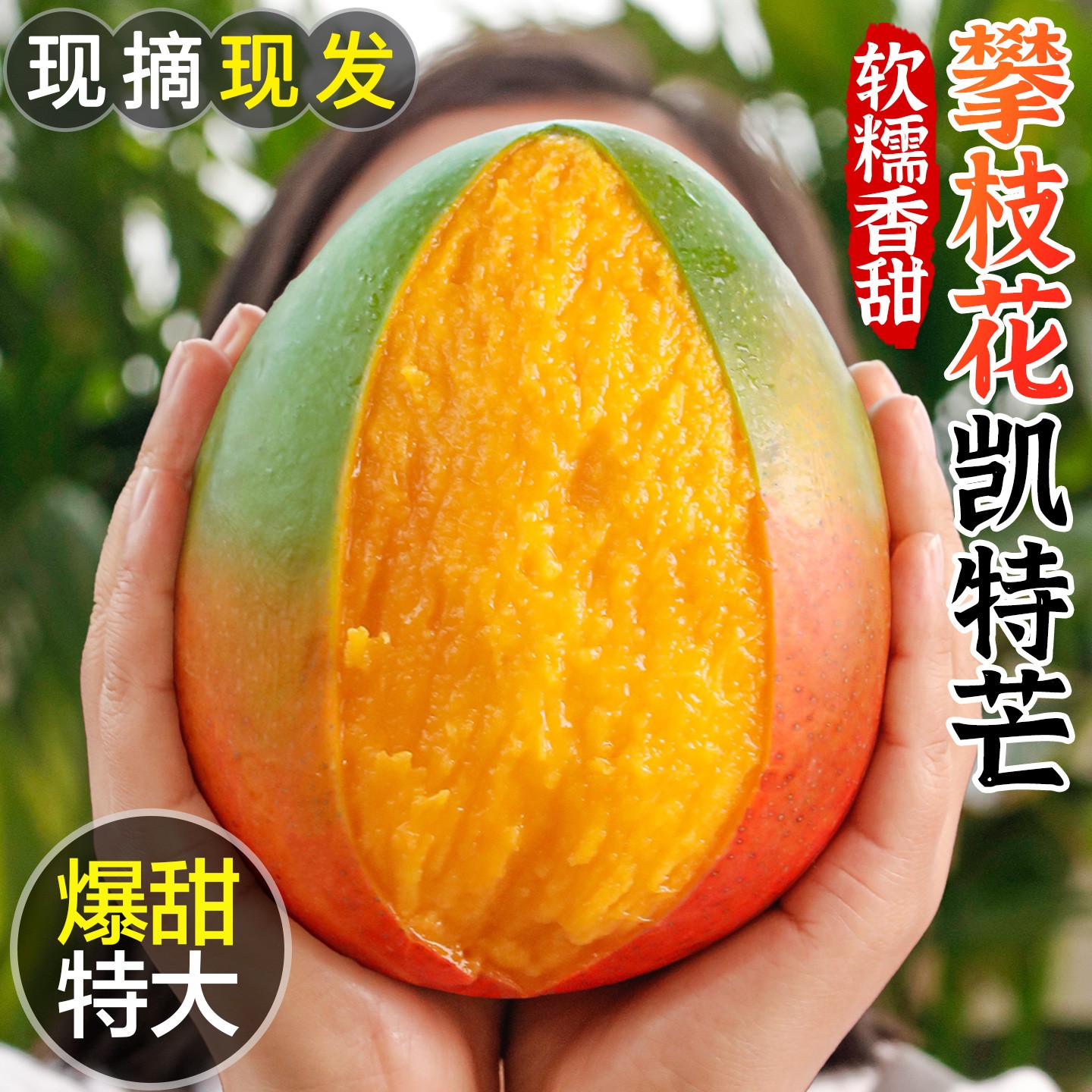【爆甜芒果】四川攀枝花头茬凯特芒青皮大脸芒果新鲜水果现摘现发A6