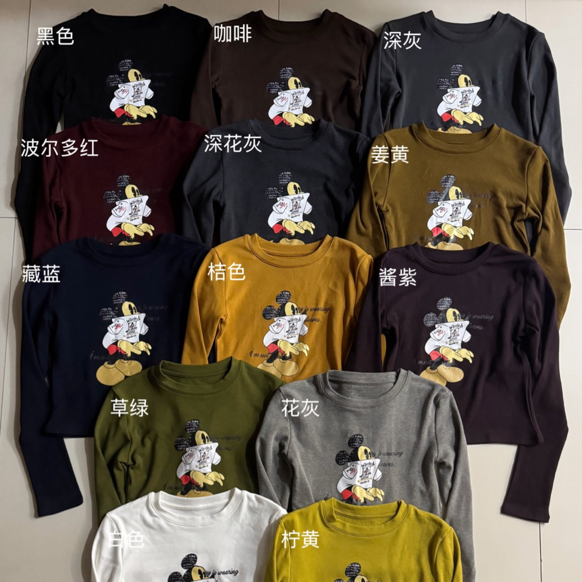 欢欢家1295磨磨加厚圆领修身型网红休闲内搭女T恤有弹力套头长袖