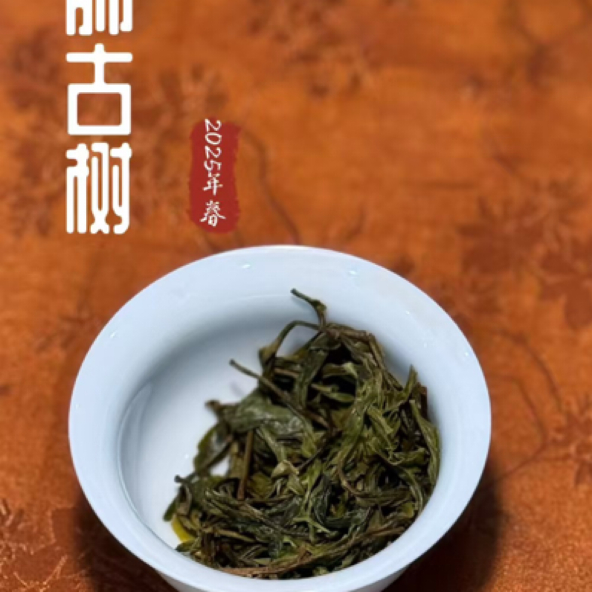 2025年忙肺古树头春 幽雅馥郁 茶气劲霸 甜似冰岛 劲胜班章