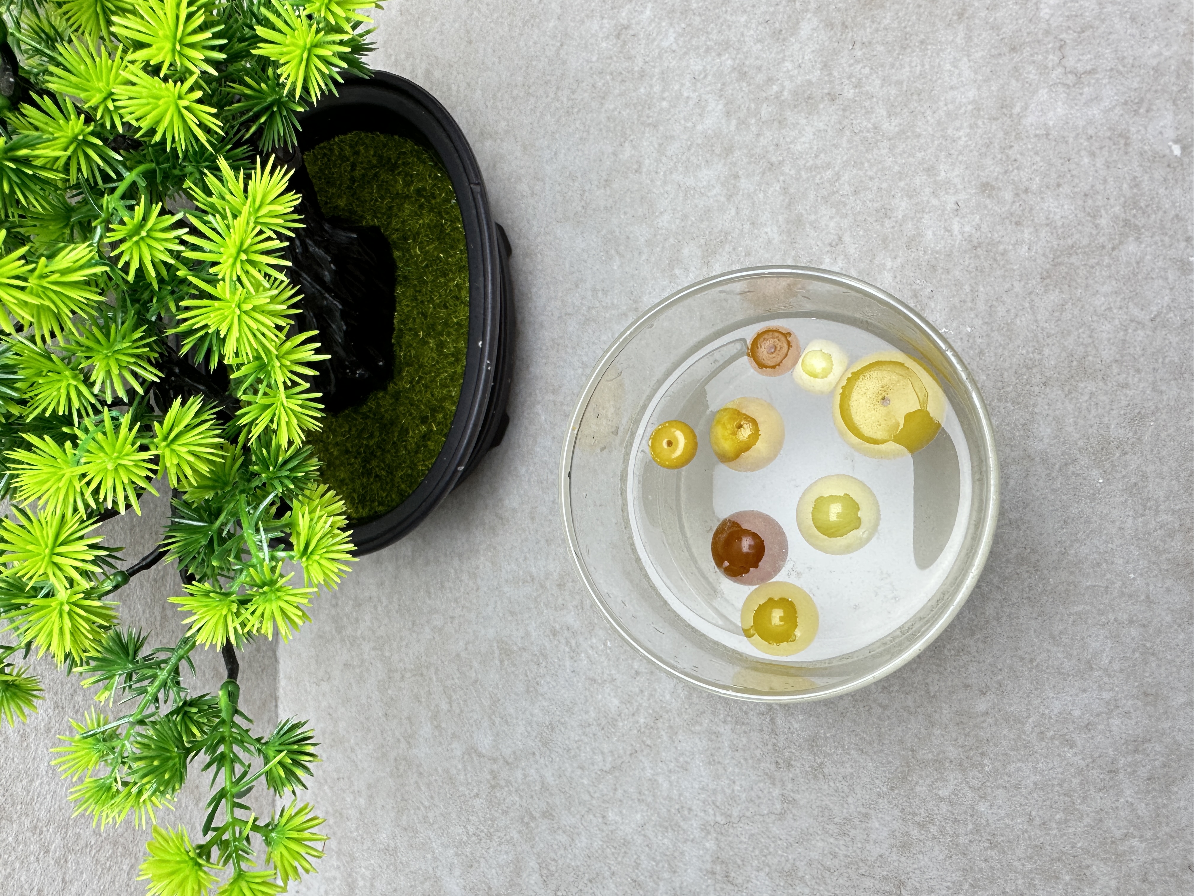 【顶珠/配珠】【12-30mm】【拍1发2】