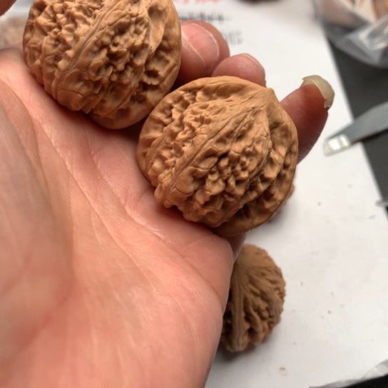 我的心好痛啊我的心真的