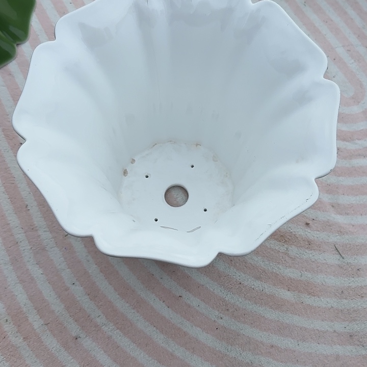 王***瑢一个一个一个一个一个＿个一个