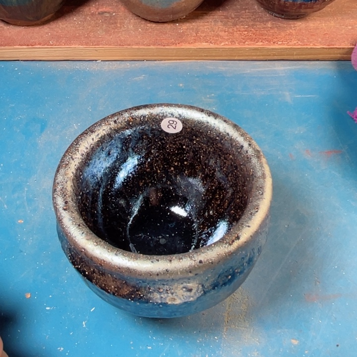 茶宠盏盏灯都是我的爱啊