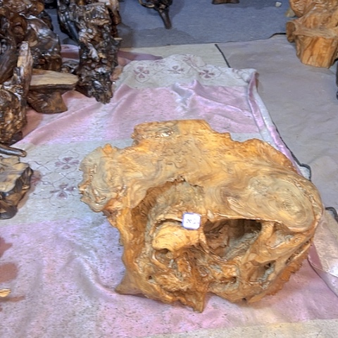 木002ggffgffhjgfvhhj