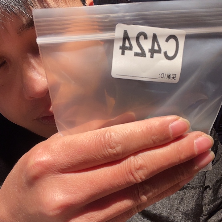 大果紫檀（缅甸花梨）424