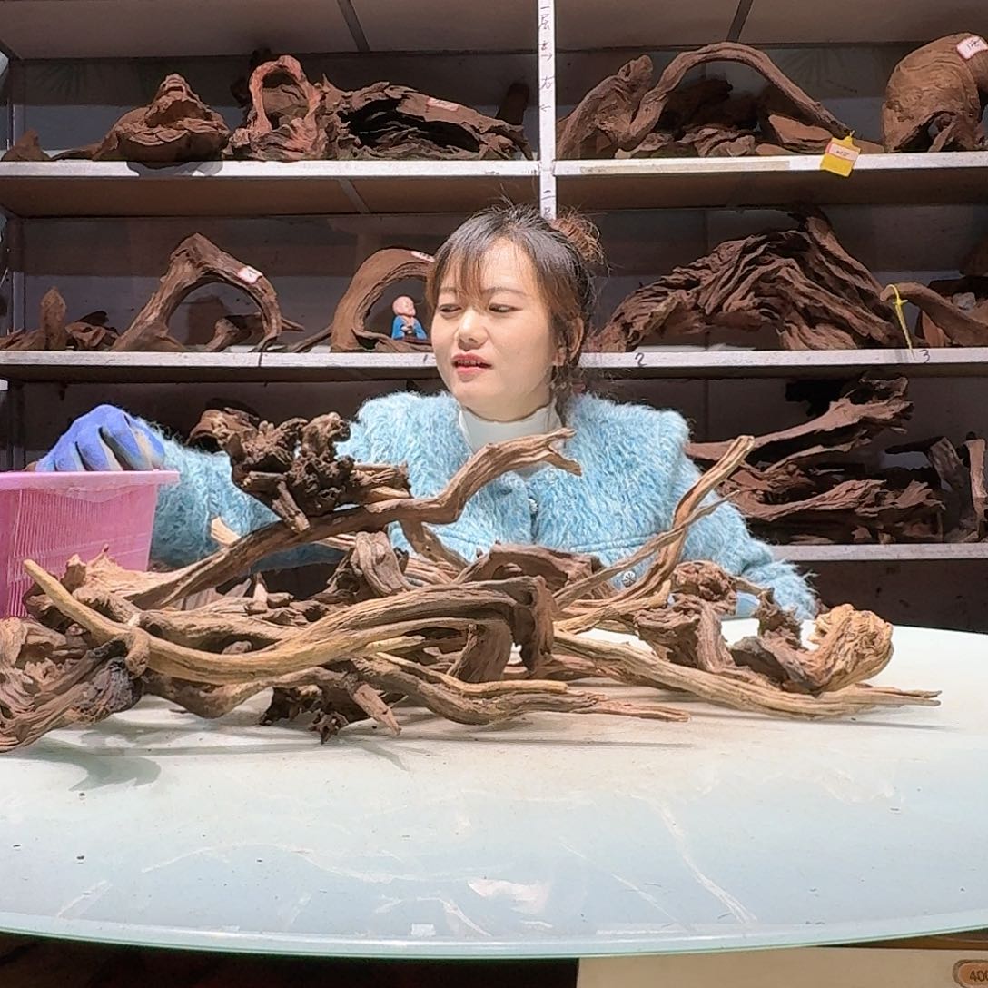 倍褚沉木不包损必褪色好****发6883玲珑木枝条