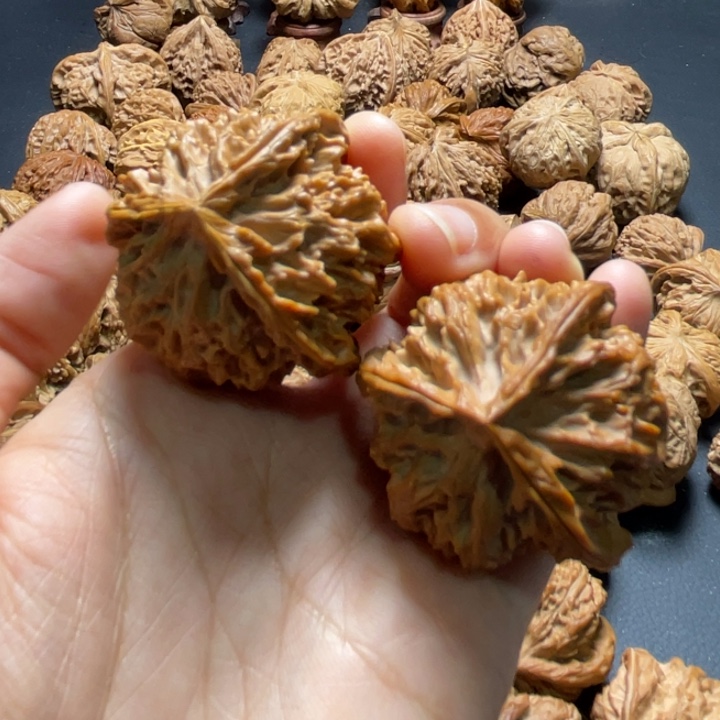 苹果园三棱40尺寸核桃哈哈哈哈哈哈哈哈