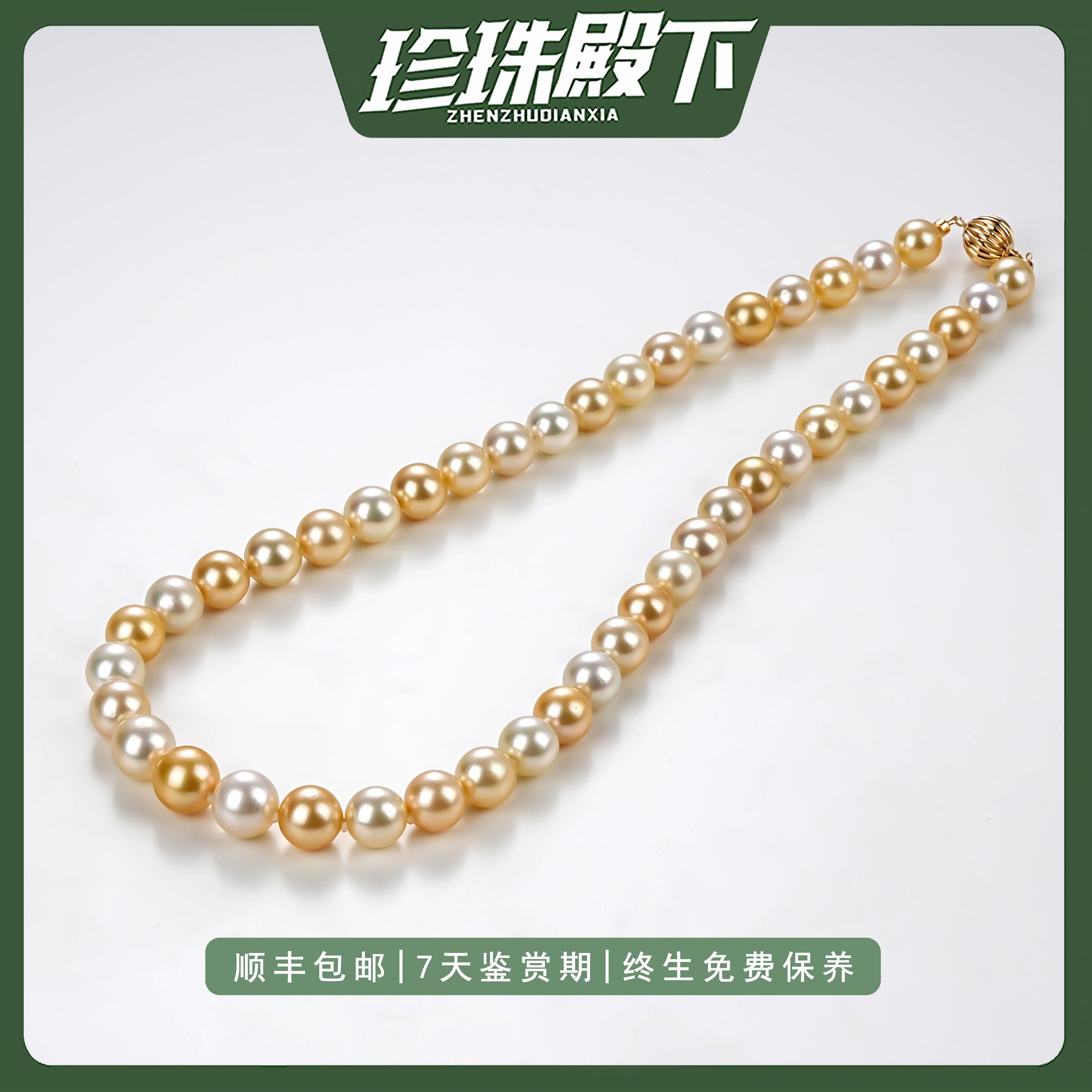 【极光凤凰】白蝶混彩项链极光凤凰时尚带真科研大证（多样性发一