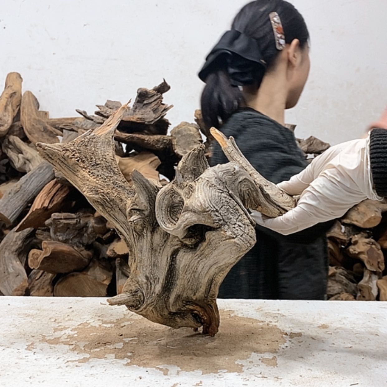 【闪购商品】柏木孤*我们都是好孩子