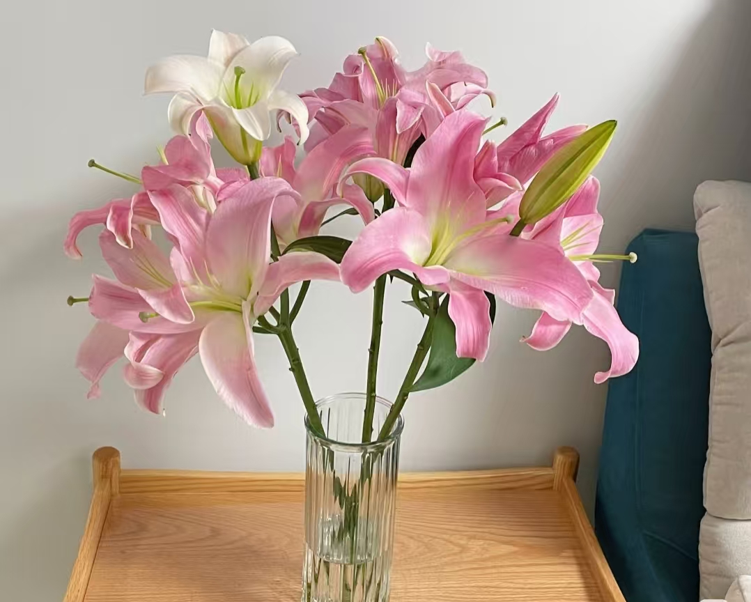 一头星光百合  粉色百合  一头4支4朵 云南基地鲜花 基地直发