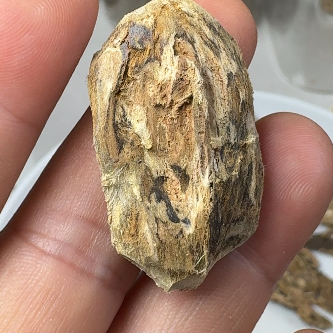 沉香碎屑沉香高州虎斑棋