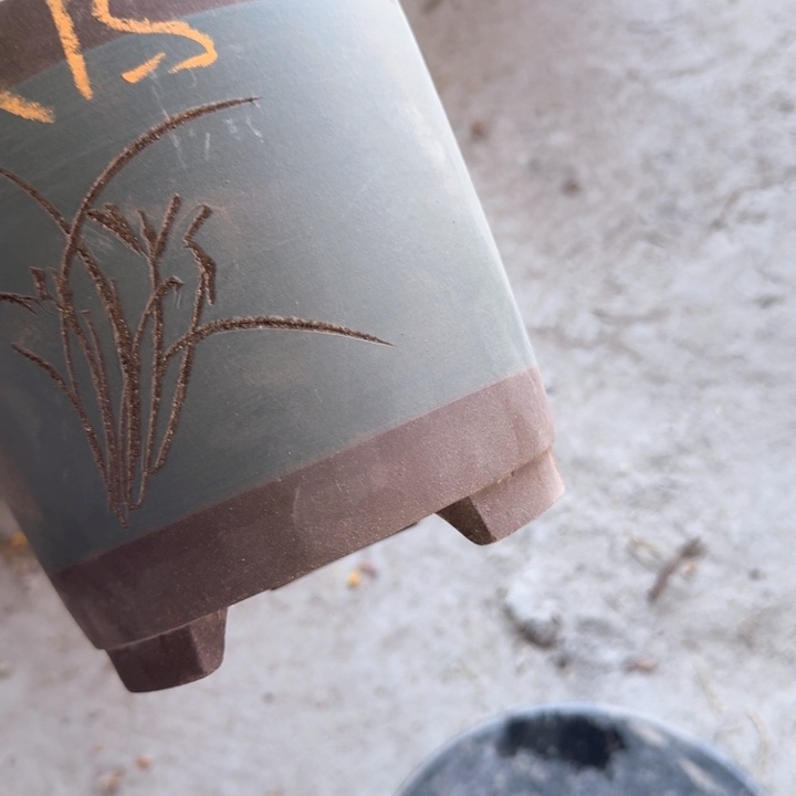 紫砂紫砂花盆d f f g g