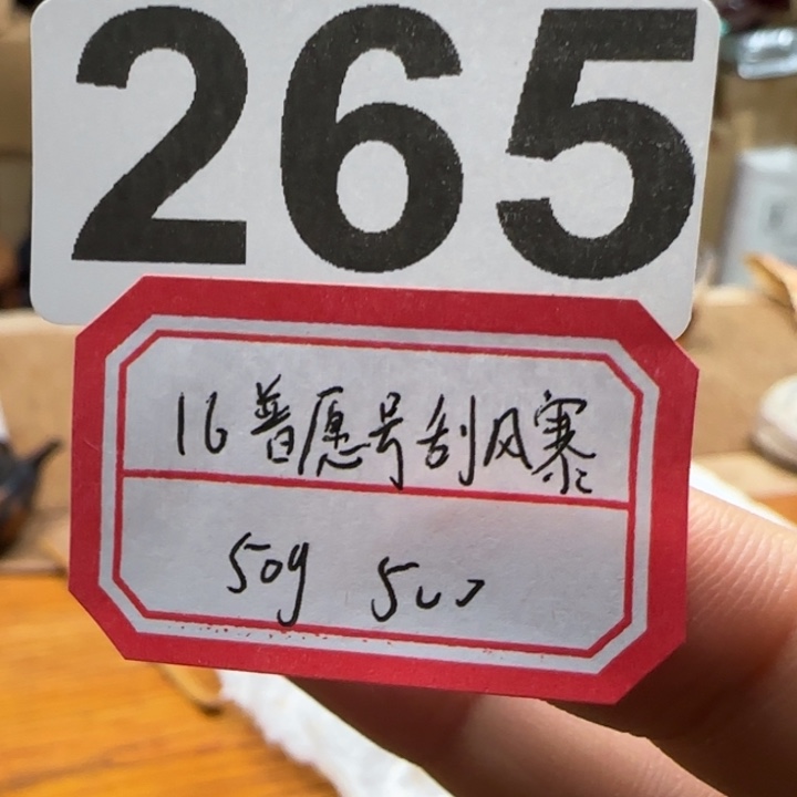 紫砂茶壶265………………