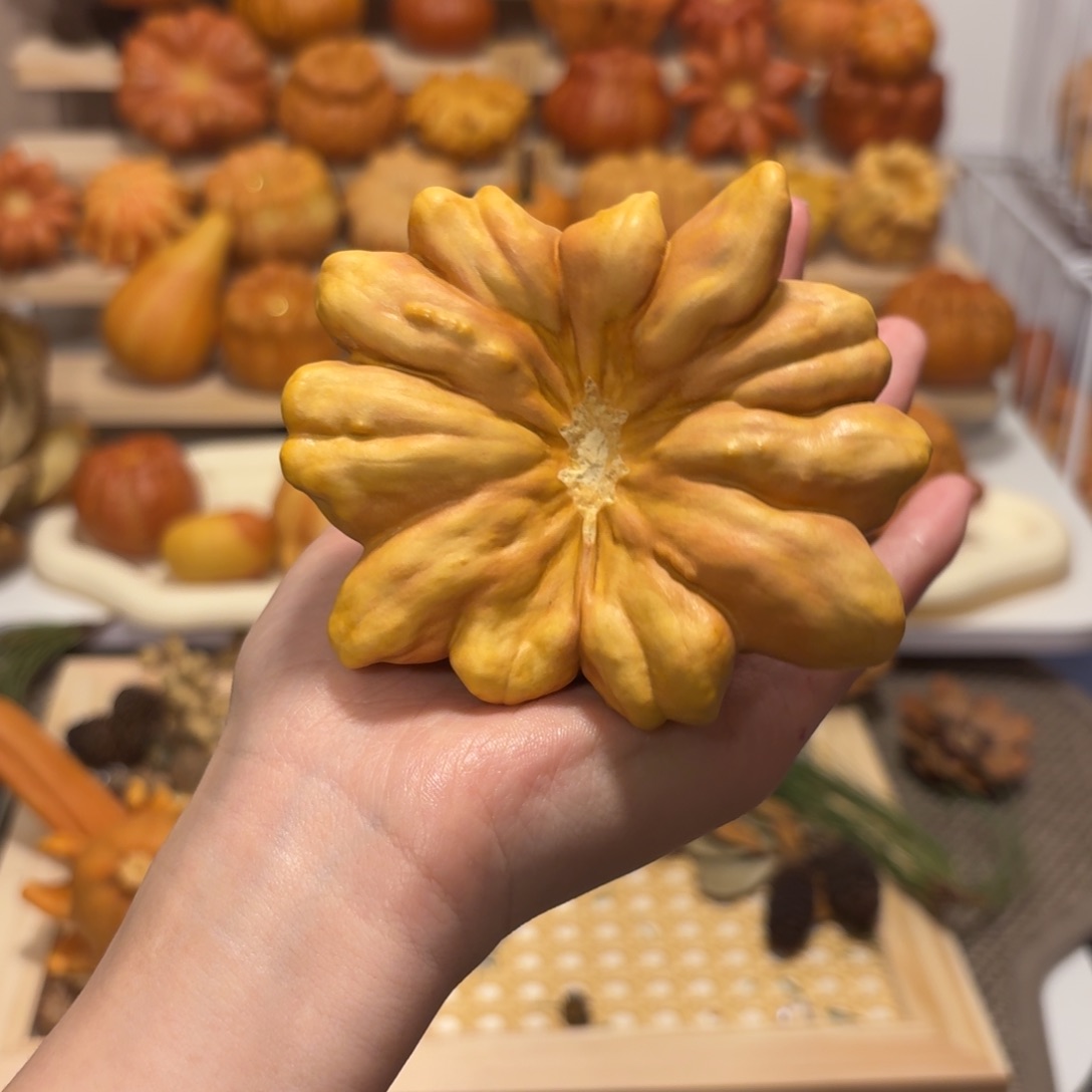 双色异型肋骨干货