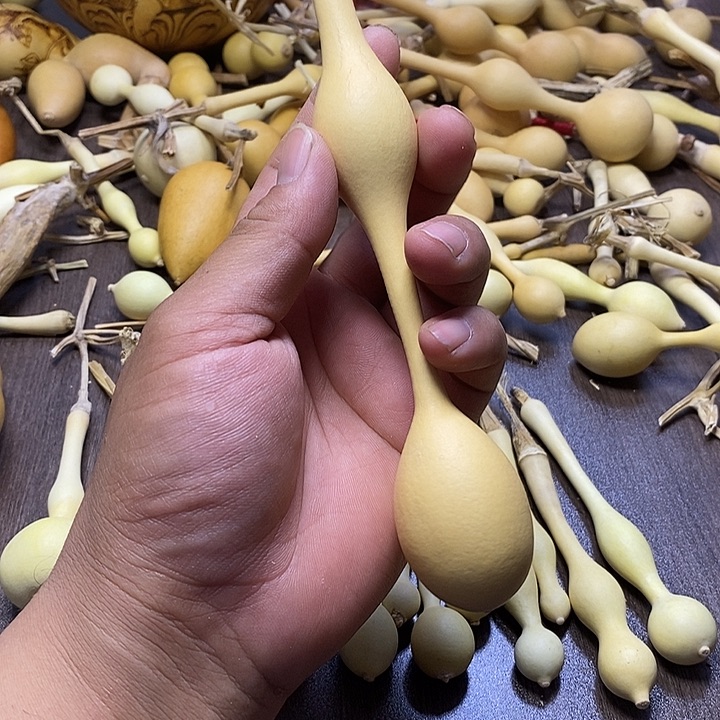 扬***航手把精品文玩葫芦