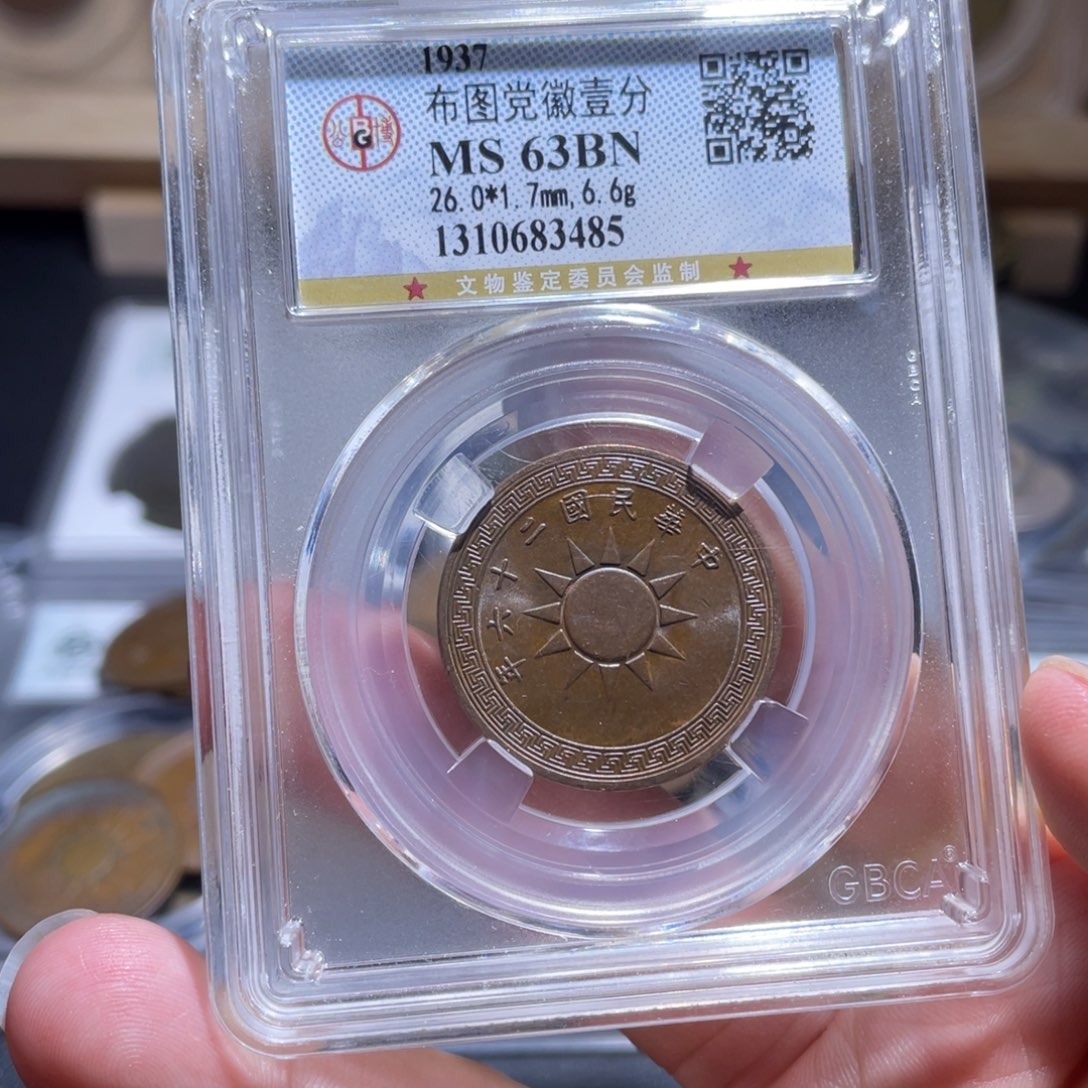 金博古通今肉丸3485