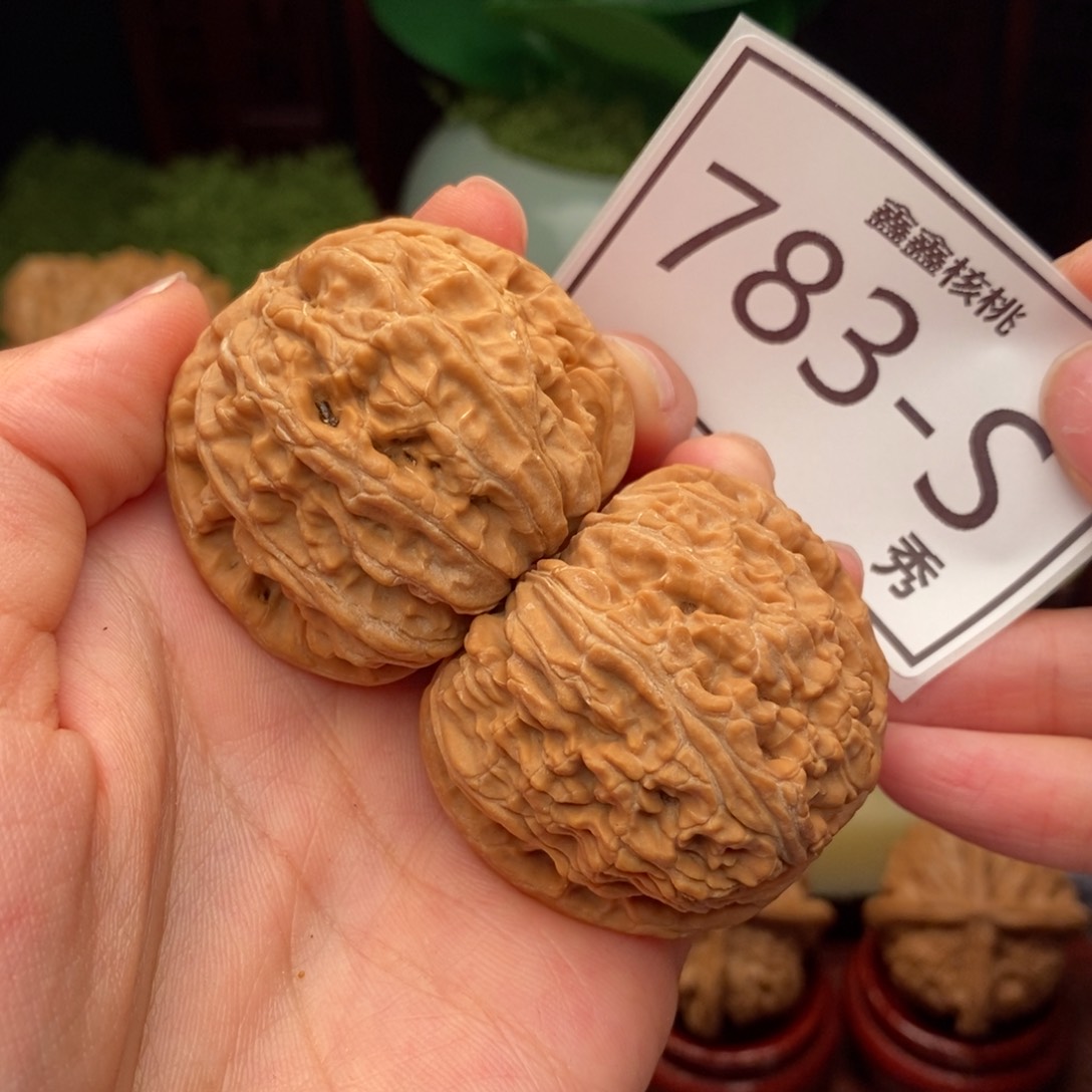 文玩核桃把件白狮42