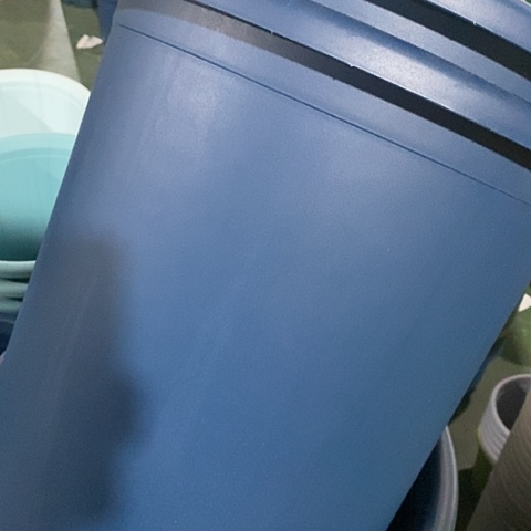 树脂四季8号藏青无托6个