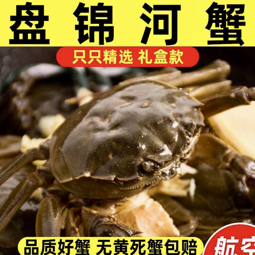 活蟹盘锦河蟹1.3-1.6两母蟹/公蟹或公母混2斤装 14只左右