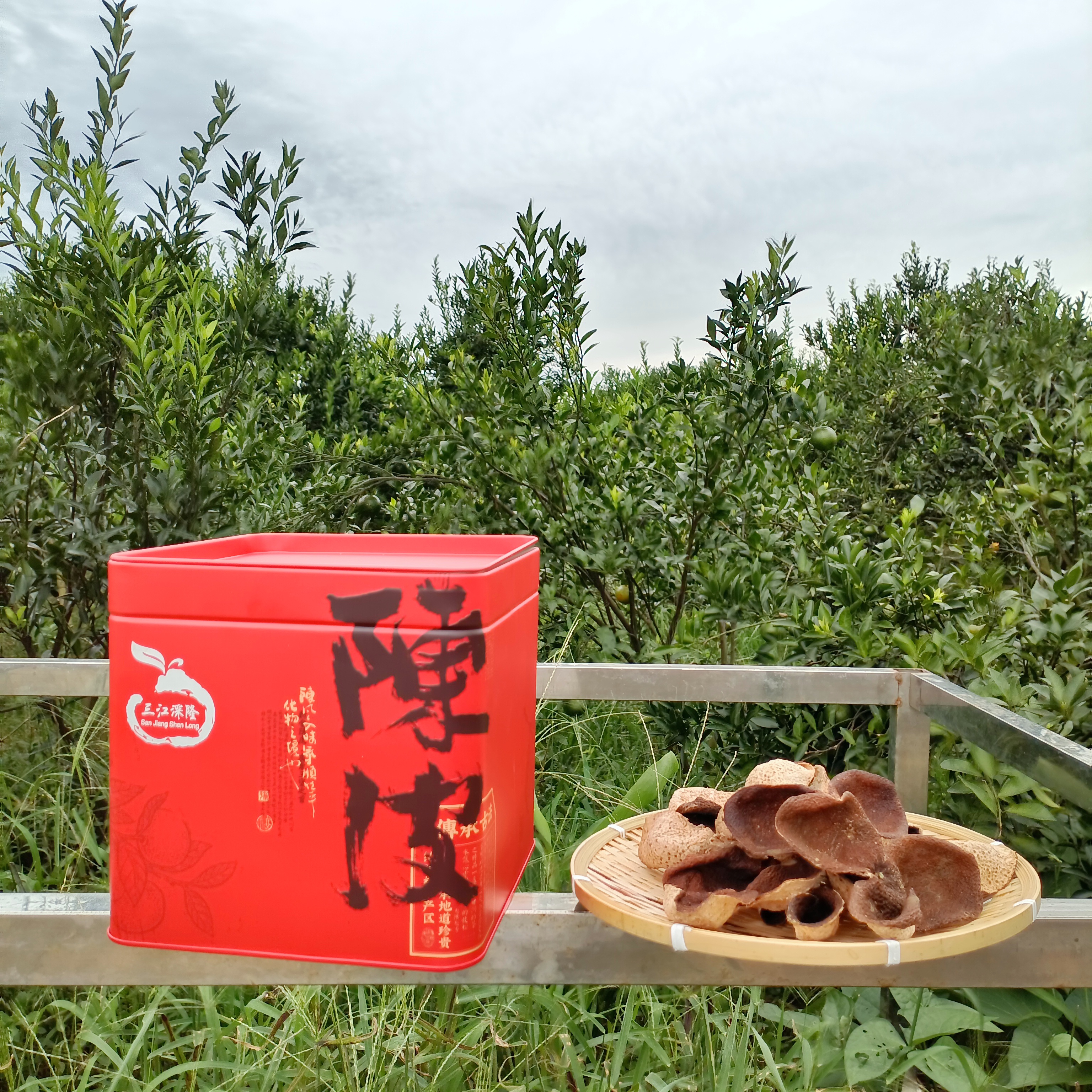 2023正宗新会陈皮大红 老树油皮仔 糯甜 花香果香浓郁 深吕产区