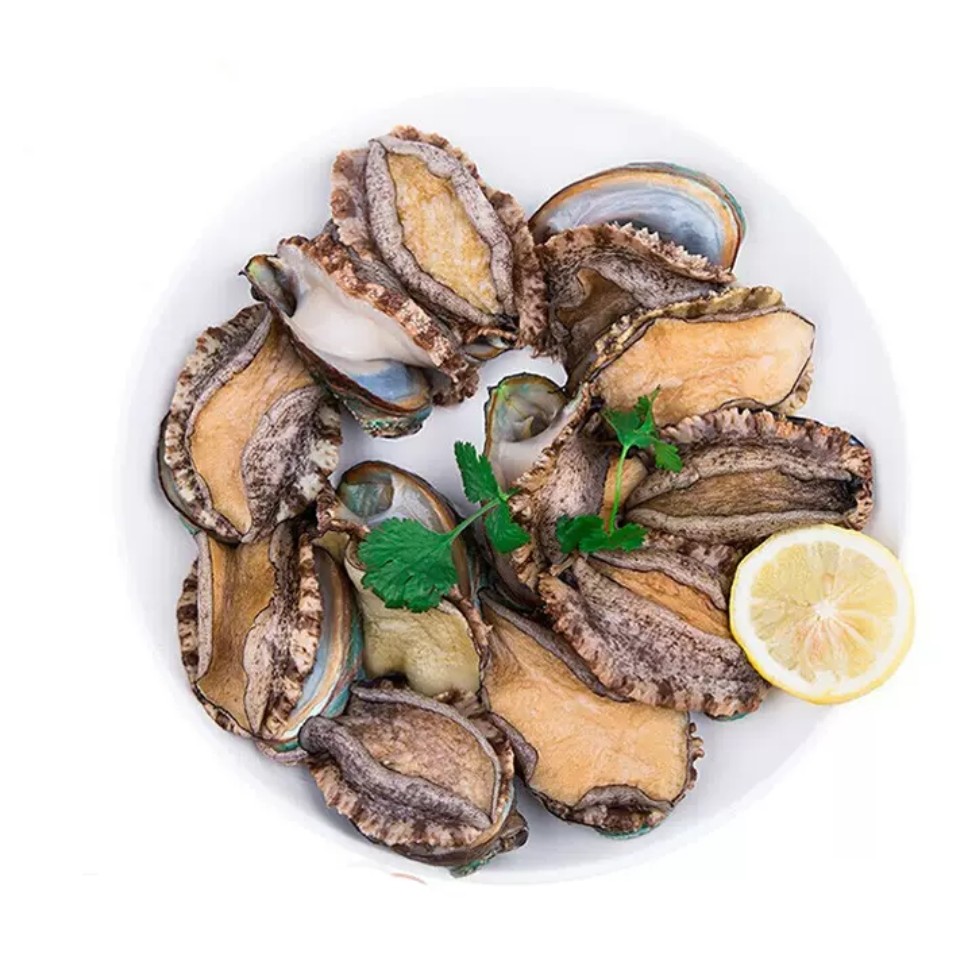 鲜活鲍鱼6头规格（6只/斤）