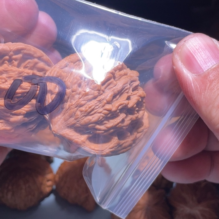 文玩核桃吊坠100呃呃呃