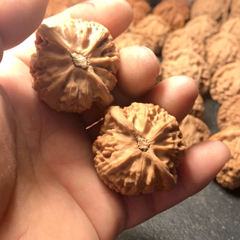 【闪购商品】大****5宫灯