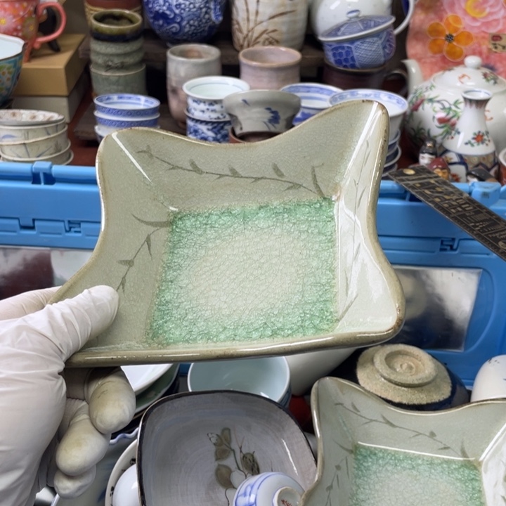 碟开播了开播了开播了