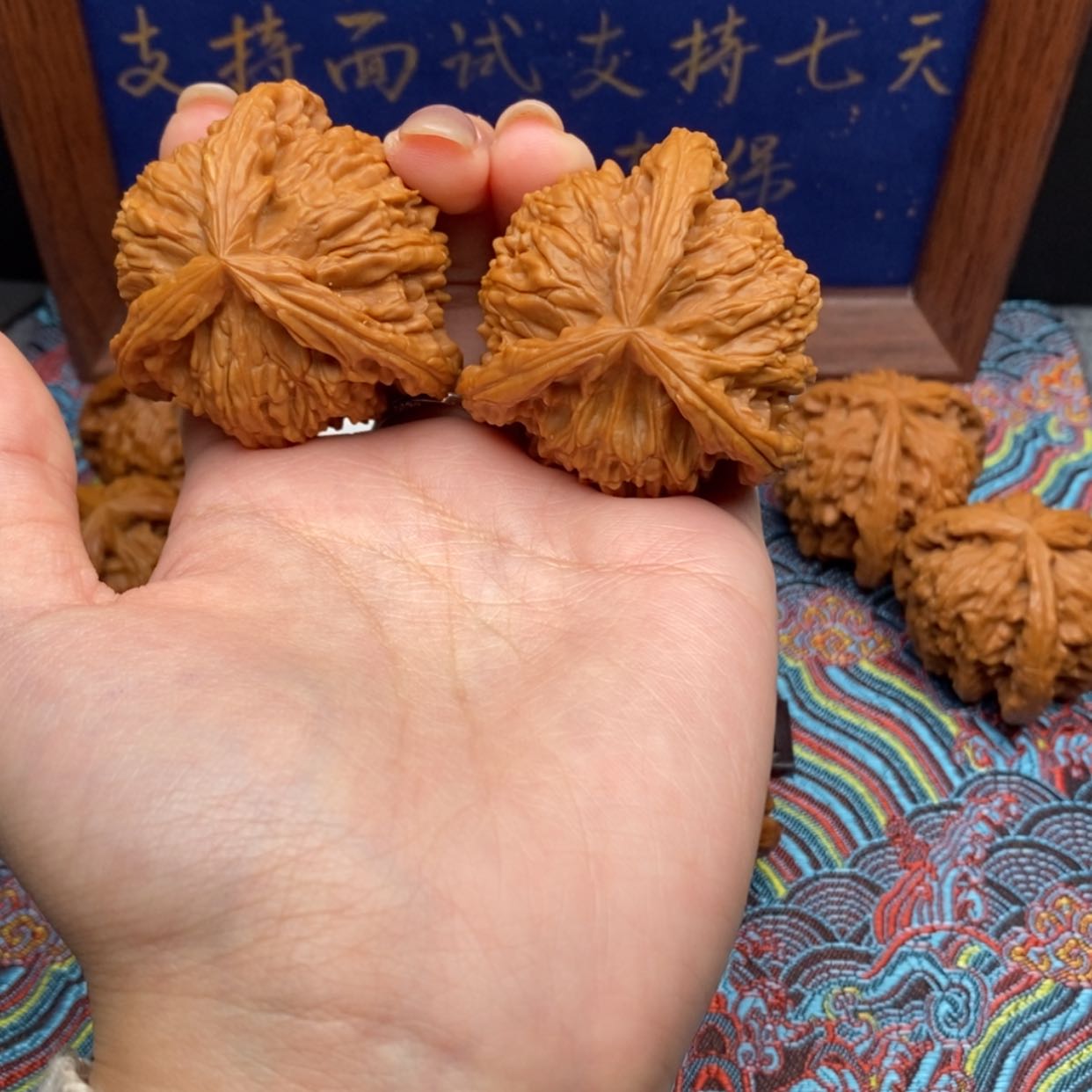 【闪购商品】不****s白狮