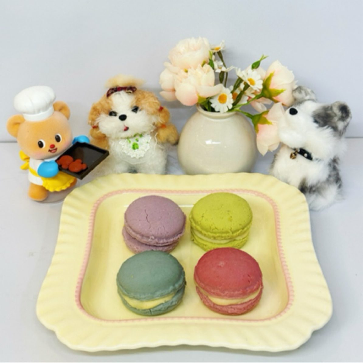 高颜值宠物零食马卡龙狗狗训练小型犬磨牙训练奖励过生日礼物
