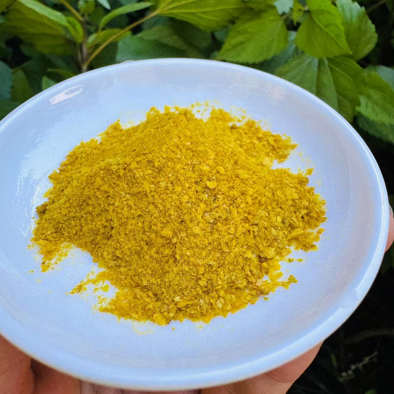 A【土特产-X-D】净含量：1g-50g【阿忠现收现卖】菌