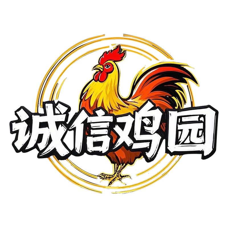 【精品色/2-3个月大】婆罗门鸡 宠物鸡 颜色可挑选