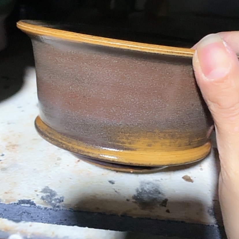 【闪购商品】红陶口12