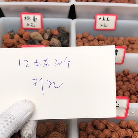 桃核吊坠风*龙纹桃核的搭配