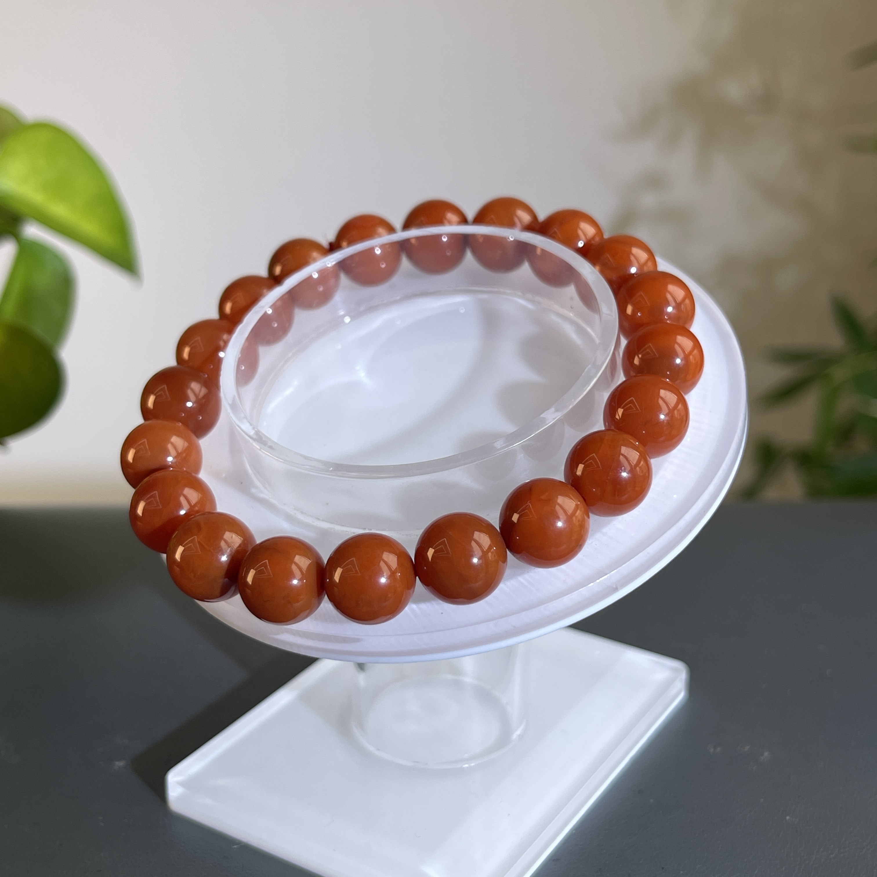 JXB09-66  南红-手串