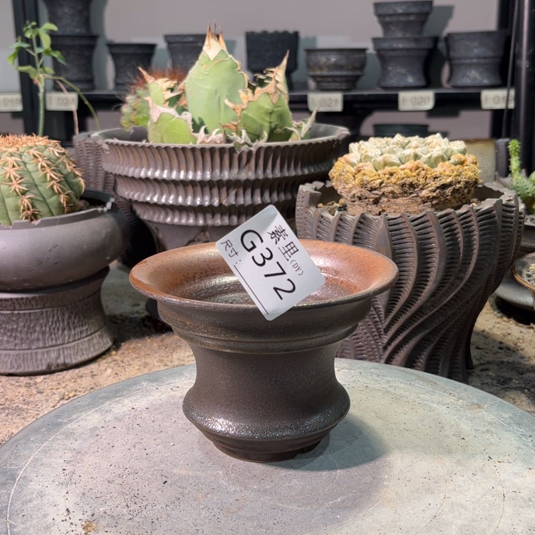 景德镇手工素里内口13高9 