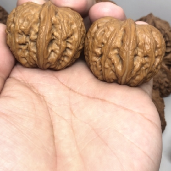 40尺寸全品元宝核桃