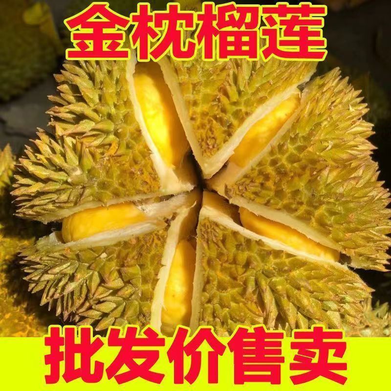 榴芳一品【一号称】一物一拍包邮金枕A级榴莲带壳发货皮薄肉厚核小