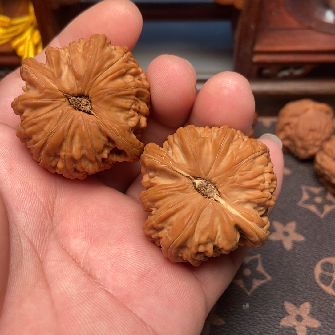 流***水大叶紫檀（黑酸枝木类）闷白