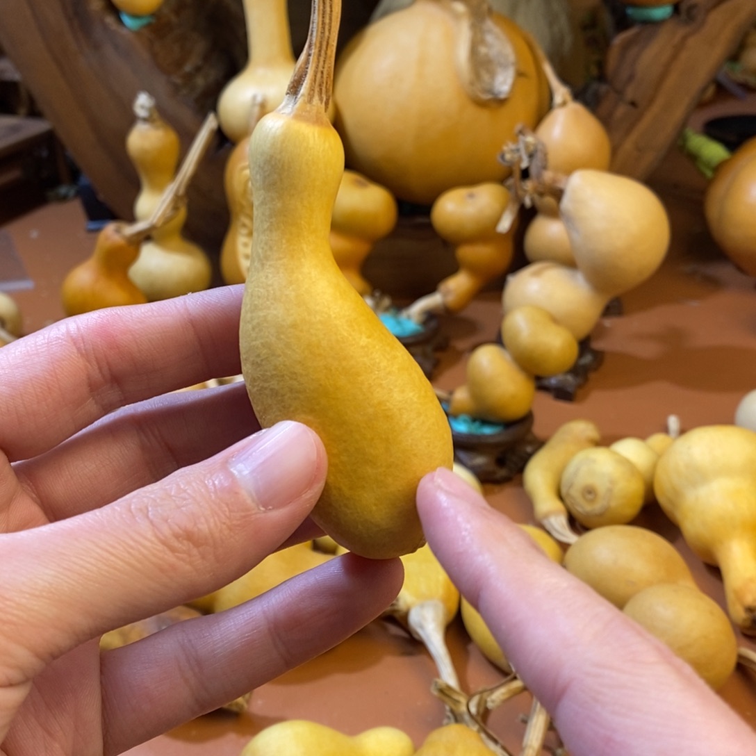 舒***克教练教练教练教练啦