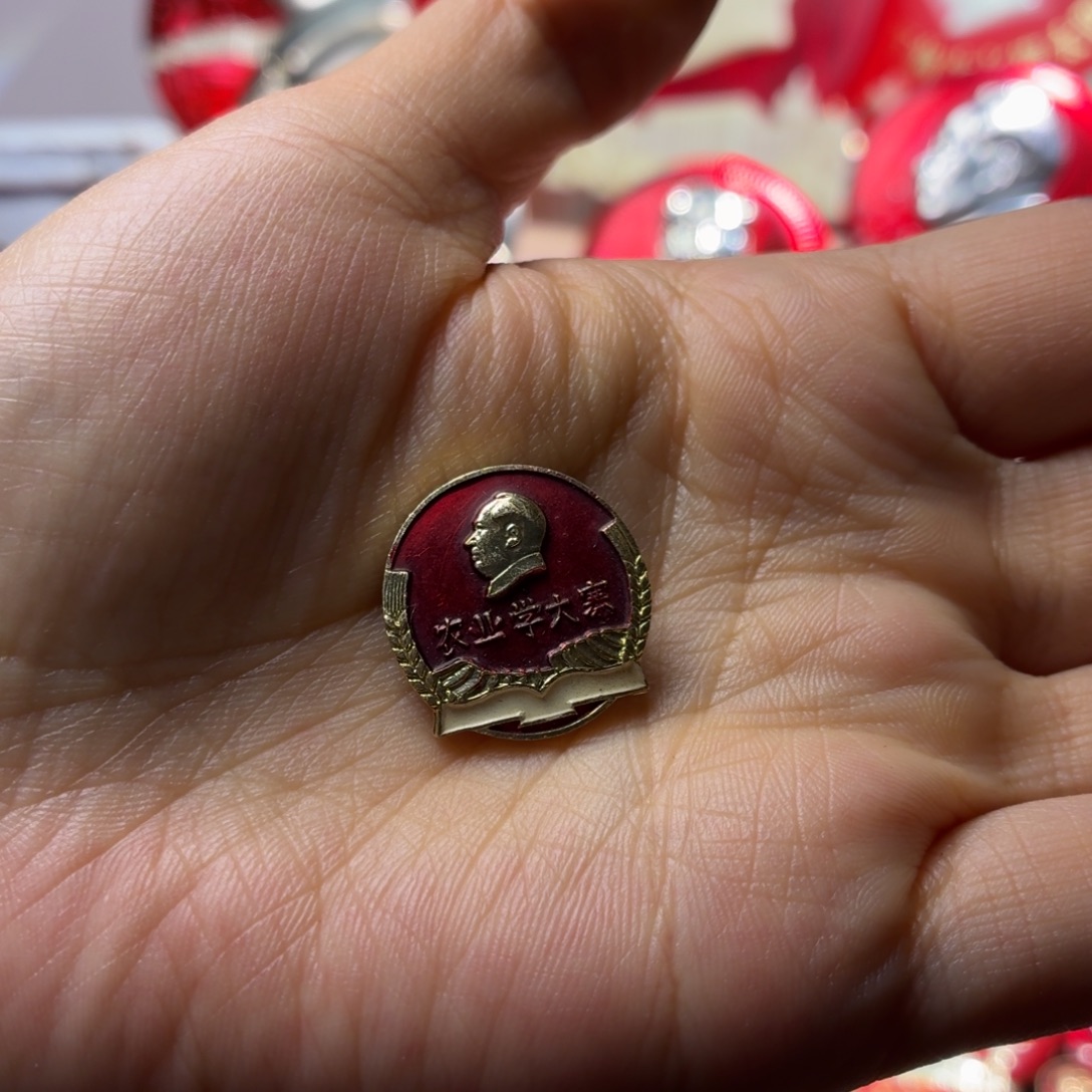 d***昭吃饭喝酒女插不不不不