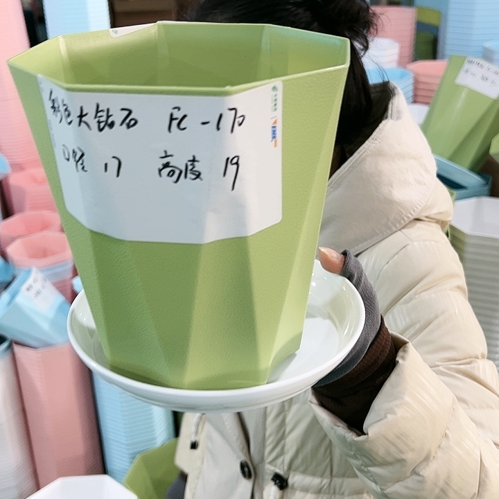 特价FC170钻石口17高19果绿带托8只