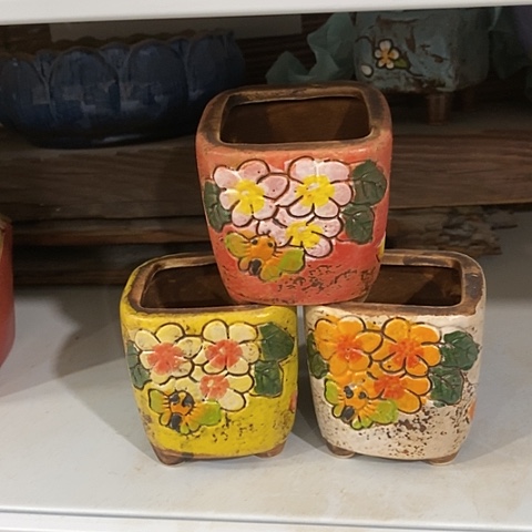 【闪购商品】红陶1