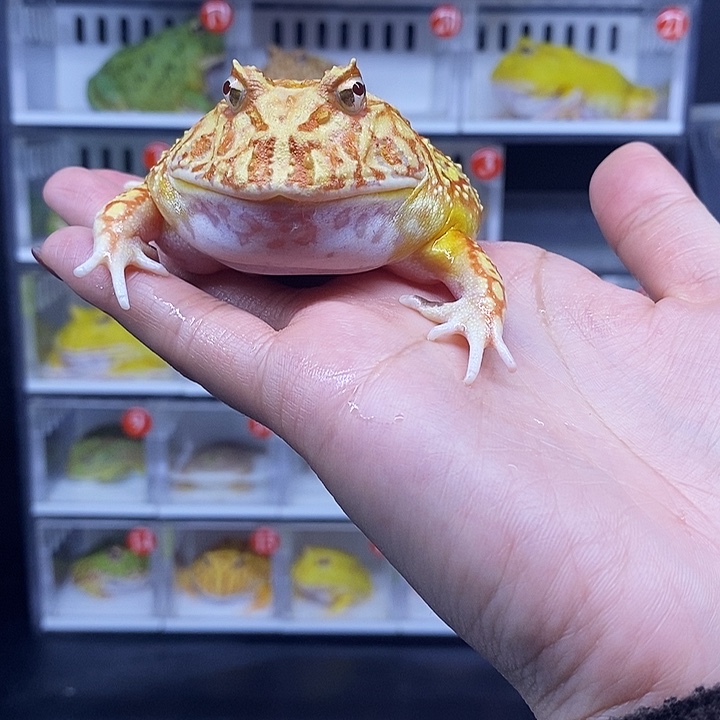 特价秒杀活动地址