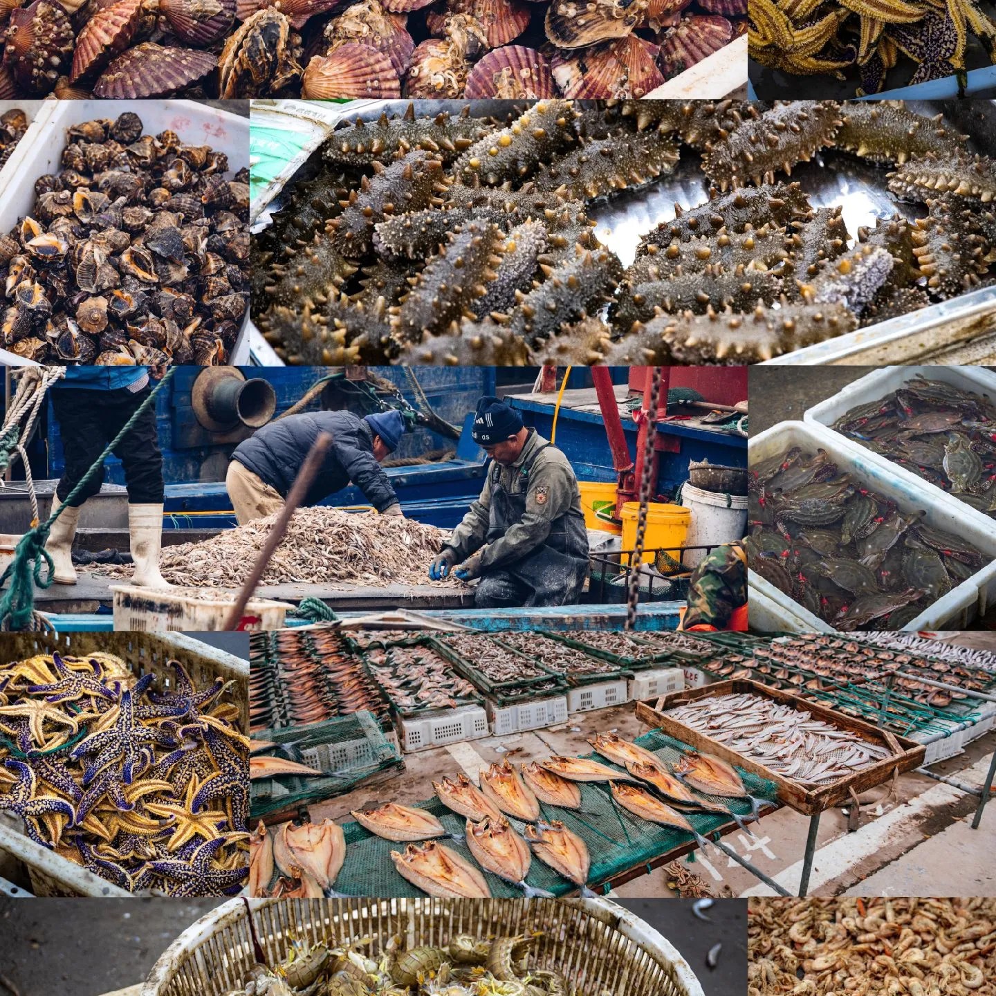 鲜活海鲜组合套餐