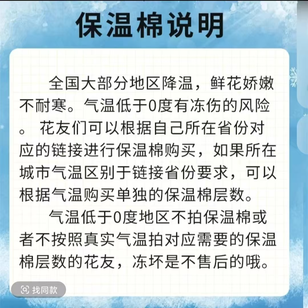 【鲜花保温棉】0度以下必须拍谨防冻坏 气温低于0度的地区没拍保温棉 冻坏是没售后的