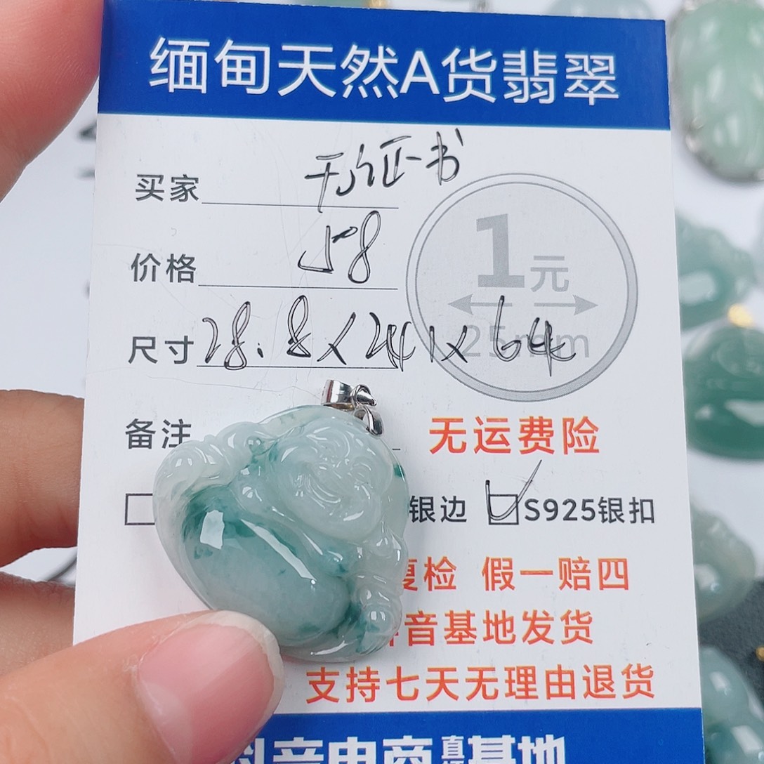 翡翠银S925镶嵌颈饰翡翠