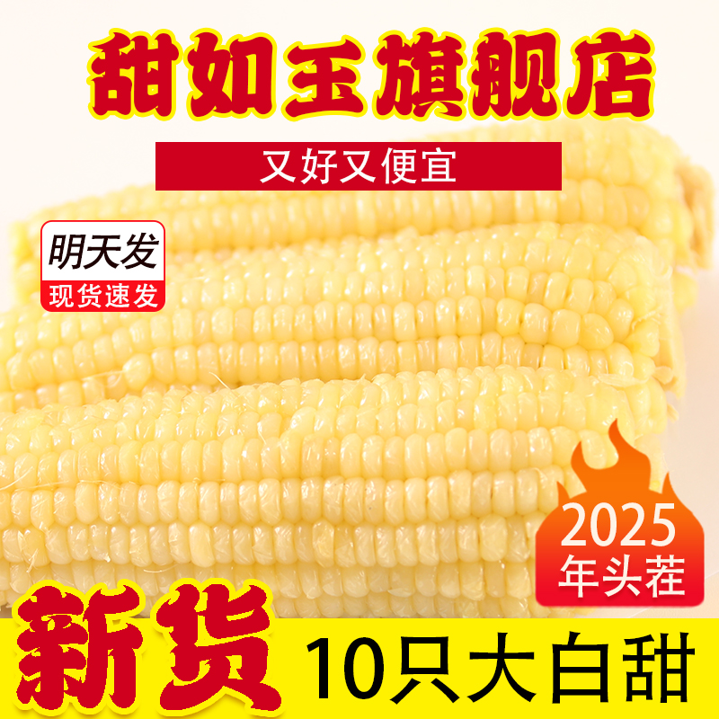 【25年新货】白玉米大果10只净重3000g 白甜糯玉米 黑龙江厂家直发
