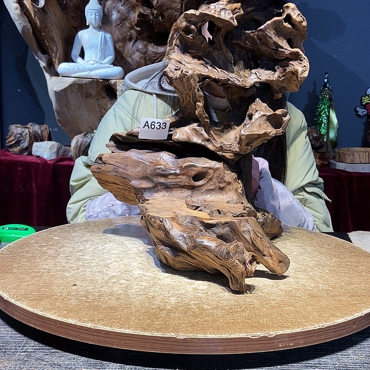 稚*633株木随行的小根艺