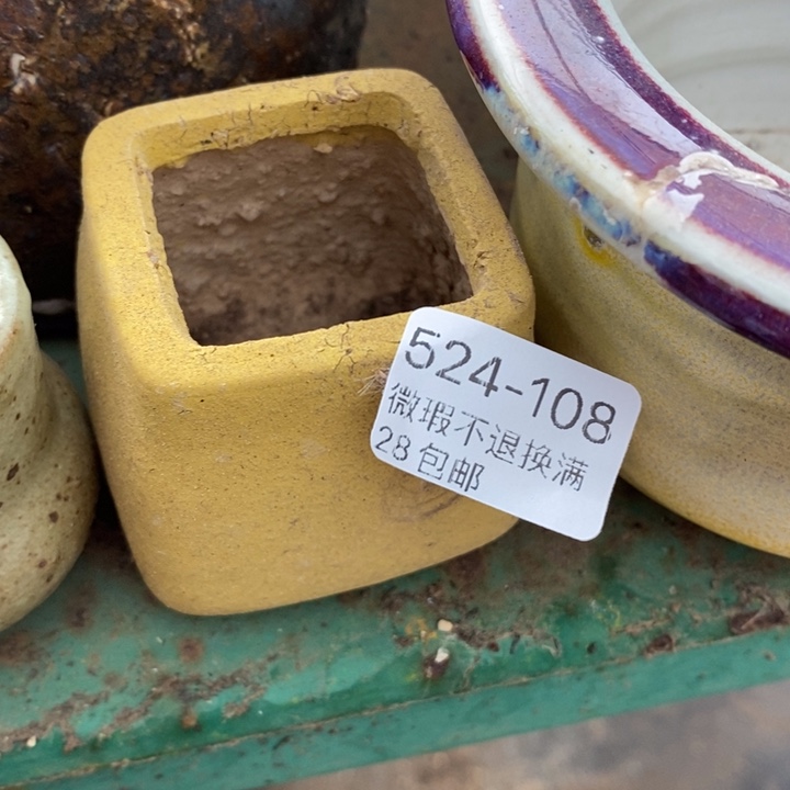 108号多肉盆小可爱